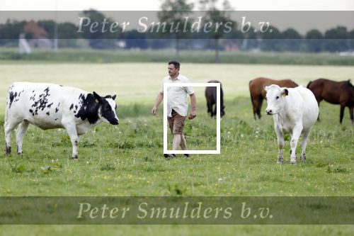 Wijdewormer 22 mei 2018
Marnix Knetemann isa een van de deelnemers aan boer zoekt vrouw.