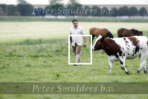 Wijdewormer 22 mei 2018
Marnix Knetemann isa een van de deelnemers aan boer zoekt vrouw.