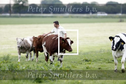 Wijdewormer 22 mei 2018
Marnix Knetemann isa een van de deelnemers aan boer zoekt vrouw.