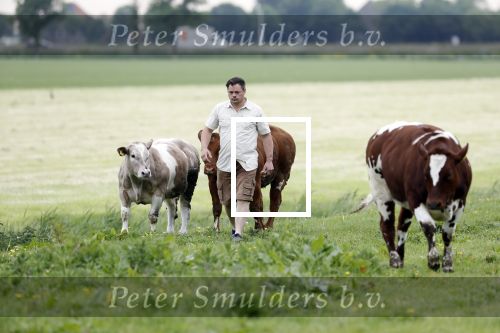 Wijdewormer 22 mei 2018
Marnix Knetemann isa een van de deelnemers aan boer zoekt vrouw.