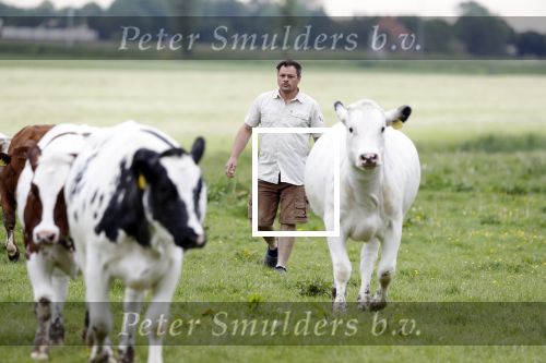 Wijdewormer 22 mei 2018
Marnix Knetemann isa een van de deelnemers aan boer zoekt vrouw.