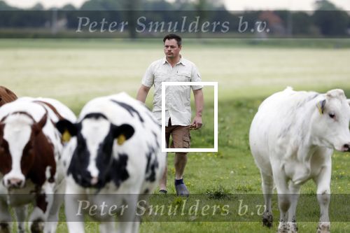 Wijdewormer 22 mei 2018
Marnix Knetemann isa een van de deelnemers aan boer zoekt vrouw.