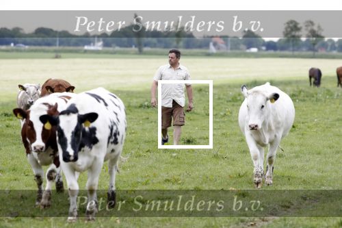 Wijdewormer 22 mei 2018
Marnix Knetemann isa een van de deelnemers aan boer zoekt vrouw.