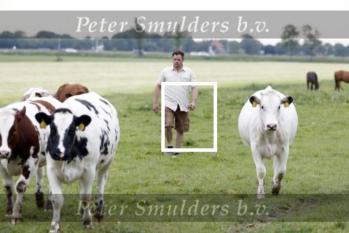Wijdewormer 22 mei 2018
Marnix Knetemann isa een van de deelnemers aan boer zoekt vrouw.