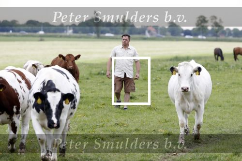 Wijdewormer 22 mei 2018
Marnix Knetemann isa een van de deelnemers aan boer zoekt vrouw.