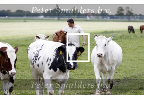 Wijdewormer 22 mei 2018
Marnix Knetemann isa een van de deelnemers aan boer zoekt vrouw.