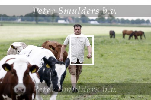 Wijdewormer 22 mei 2018
Marnix Knetemann isa een van de deelnemers aan boer zoekt vrouw.