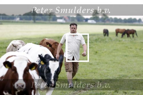 Wijdewormer 22 mei 2018
Marnix Knetemann isa een van de deelnemers aan boer zoekt vrouw.