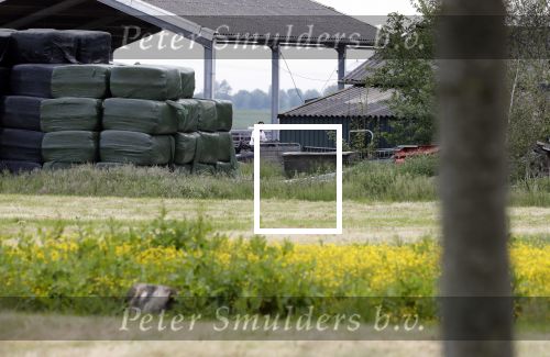 Wijdewormer 22 mei 2018
Marnix Knetemann isa een van de deelnemers aan boer zoekt vrouw.