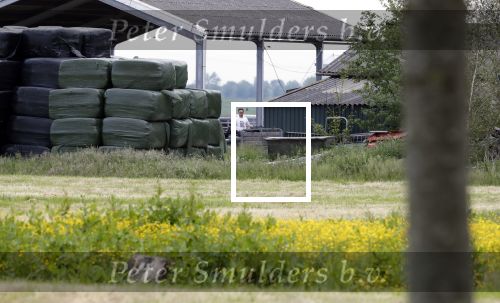Wijdewormer 22 mei 2018
Marnix Knetemann isa een van de deelnemers aan boer zoekt vrouw.