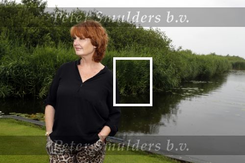 Breukeleveen 8 juni 2018
Patty Harpenau thuis aan het water.