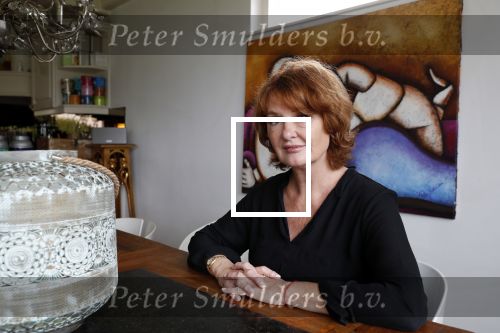 Breukeleveen 8 juni 2018
Patty Harpenau thuis aan het water.