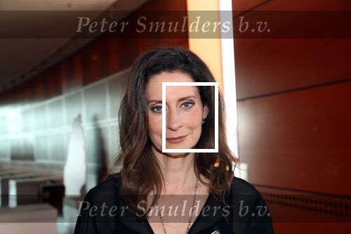 Rotterdam 17 Mei 2018
Voorstelling Crew The Addams Family
Pia Douwes