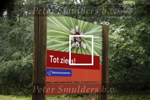 Doorn 1 juni 2018
Nieuwe huis / villa Prinses Irene