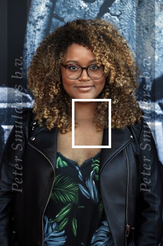 Amsterdam 5 juni 2018
Premiere Jurassic world in het amsterdam theater. Quinty Misiedjan