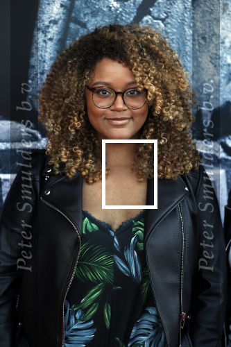 Amsterdam 5 juni 2018
Premiere Jurassic world in het amsterdam theater. Quinty Misiedjan