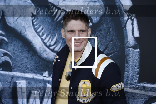 Amsterdam 5 juni 2018
Premiere Jurassic world in het amsterdam theater. Rico Verhoeven