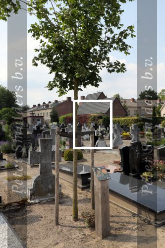 Sint Michielsgestel, 9 Juni 2018
Begraafplaats waar Sandra Reemer een jaar geleden werd begraven.
Herdenkingsdienst