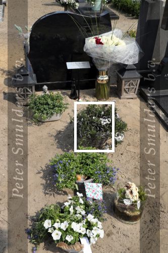 Sint Michielsgestel, 9 Juni 2018
Begraafplaats waar Sandra Reemer een jaar geleden werd begraven.
Herdenkingsdienst