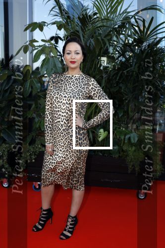 Amsterdam 5 juni 2018
Premiere Jurassic world in het amsterdam theater. Sonja Silva met man Pyke Pos en zoon