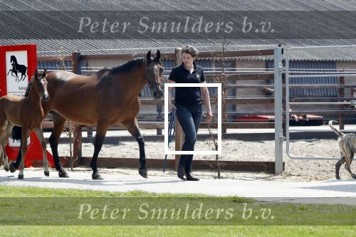 Boekel 14 mei 2018
Boer zoekt vrouw deelneemster Steffie Verhagen ( en haar ouders) bij hun boerderij