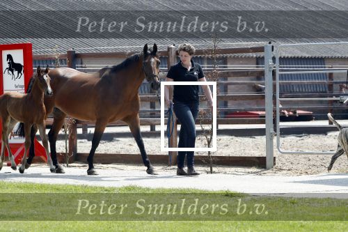 Boekel 14 mei 2018
Boer zoekt vrouw deelneemster Steffie Verhagen ( en haar ouders) bij hun boerderij