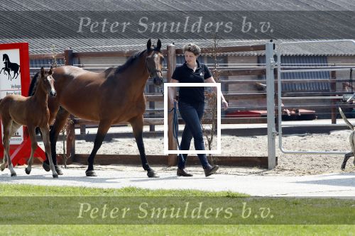 Boekel 14 mei 2018
Boer zoekt vrouw deelneemster Steffie Verhagen ( en haar ouders) bij hun boerderij