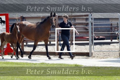 Boekel 14 mei 2018
Boer zoekt vrouw deelneemster Steffie Verhagen ( en haar ouders) bij hun boerderij