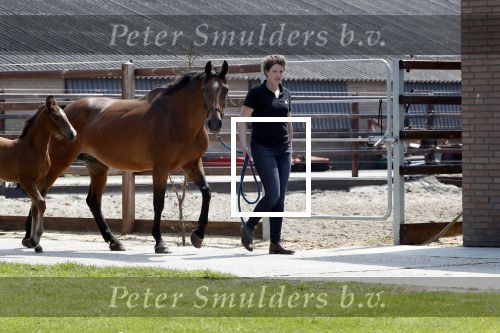 Boekel 14 mei 2018
Boer zoekt vrouw deelneemster Steffie Verhagen ( en haar ouders) bij hun boerderij