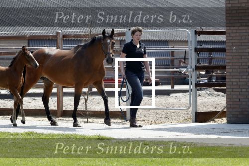 Boekel 14 mei 2018
Boer zoekt vrouw deelneemster Steffie Verhagen ( en haar ouders) bij hun boerderij