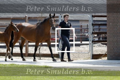 Boekel 14 mei 2018
Boer zoekt vrouw deelneemster Steffie Verhagen ( en haar ouders) bij hun boerderij