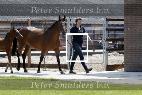 Boekel 14 mei 2018
Boer zoekt vrouw deelneemster Steffie Verhagen ( en haar ouders) bij hun boerderij