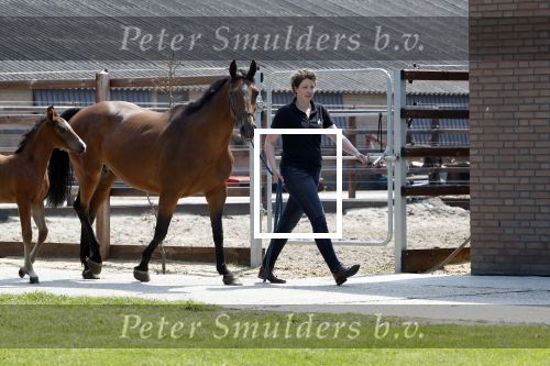 Boekel 14 mei 2018
Boer zoekt vrouw deelneemster Steffie Verhagen ( en haar ouders) bij hun boerderij