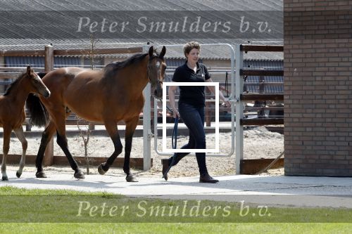 Boekel 14 mei 2018
Boer zoekt vrouw deelneemster Steffie Verhagen ( en haar ouders) bij hun boerderij