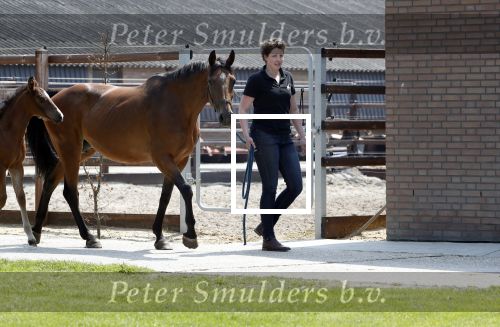 Boekel 14 mei 2018
Boer zoekt vrouw deelneemster Steffie Verhagen ( en haar ouders) bij hun boerderij