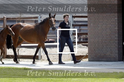 Boekel 14 mei 2018
Boer zoekt vrouw deelneemster Steffie Verhagen ( en haar ouders) bij hun boerderij