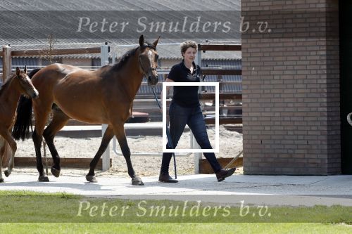 Boekel 14 mei 2018
Boer zoekt vrouw deelneemster Steffie Verhagen ( en haar ouders) bij hun boerderij