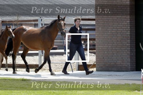 Boekel 14 mei 2018
Boer zoekt vrouw deelneemster Steffie Verhagen ( en haar ouders) bij hun boerderij