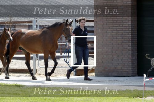 Boekel 14 mei 2018
Boer zoekt vrouw deelneemster Steffie Verhagen ( en haar ouders) bij hun boerderij