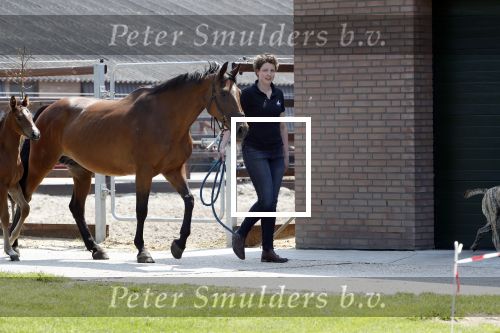 Boekel 14 mei 2018
Boer zoekt vrouw deelneemster Steffie Verhagen ( en haar ouders) bij hun boerderij