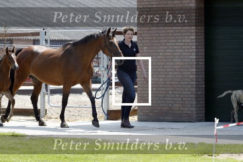 Boekel 14 mei 2018
Boer zoekt vrouw deelneemster Steffie Verhagen ( en haar ouders) bij hun boerderij