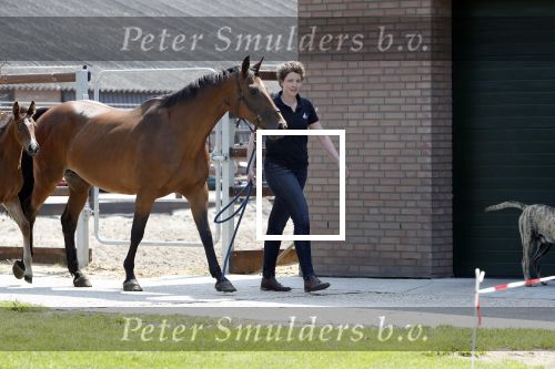 Boekel 14 mei 2018
Boer zoekt vrouw deelneemster Steffie Verhagen ( en haar ouders) bij hun boerderij