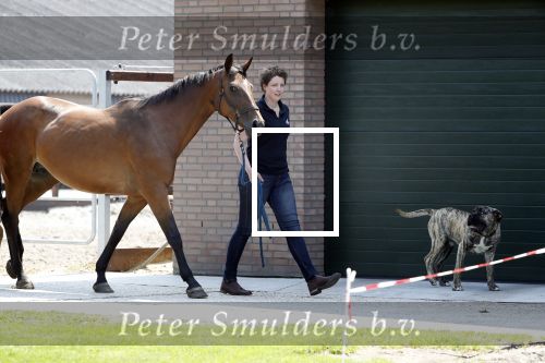 Boekel 14 mei 2018
Boer zoekt vrouw deelneemster Steffie Verhagen ( en haar ouders) bij hun boerderij