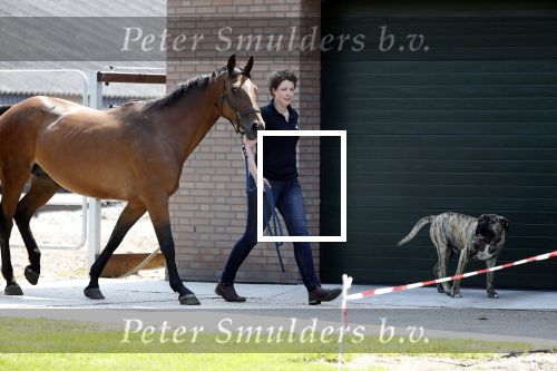 Boekel 14 mei 2018
Boer zoekt vrouw deelneemster Steffie Verhagen ( en haar ouders) bij hun boerderij