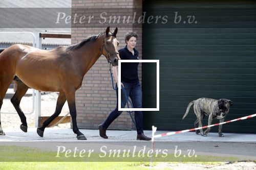 Boekel 14 mei 2018
Boer zoekt vrouw deelneemster Steffie Verhagen ( en haar ouders) bij hun boerderij