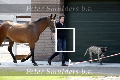 Boekel 14 mei 2018
Boer zoekt vrouw deelneemster Steffie Verhagen ( en haar ouders) bij hun boerderij