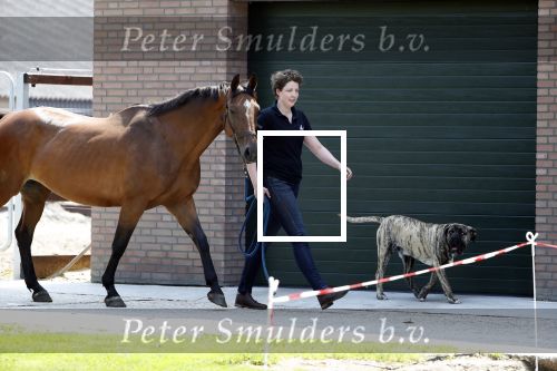 Boekel 14 mei 2018
Boer zoekt vrouw deelneemster Steffie Verhagen ( en haar ouders) bij hun boerderij