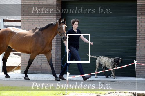Boekel 14 mei 2018
Boer zoekt vrouw deelneemster Steffie Verhagen ( en haar ouders) bij hun boerderij