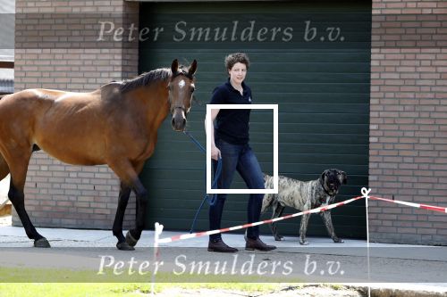 Boekel 14 mei 2018
Boer zoekt vrouw deelneemster Steffie Verhagen ( en haar ouders) bij hun boerderij