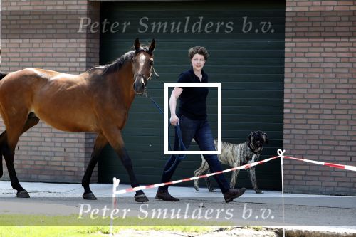 Boekel 14 mei 2018
Boer zoekt vrouw deelneemster Steffie Verhagen ( en haar ouders) bij hun boerderij